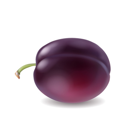 Ripe plum isolated realistic 3d illustrationのイラスト素材