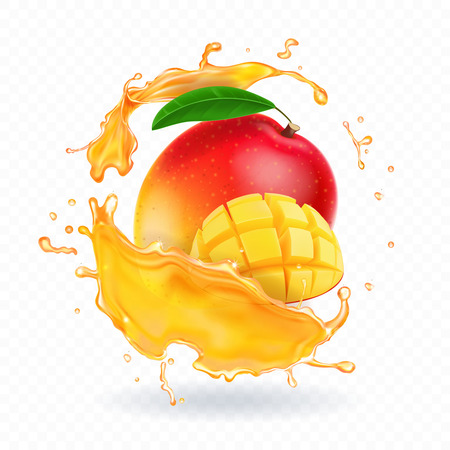 A splash of juice with mango and ripe mango slices. Vector realistic illustrationのイラスト素材