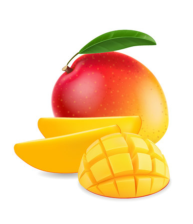 Fruit mango with mango slice realistic illustrationのイラスト素材