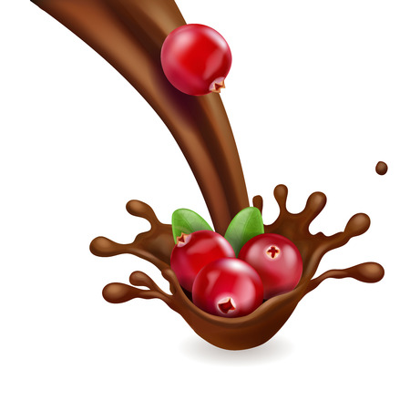 Red cranberry in splash of chocolate. Realistic forest berry in liquid cocoaのイラスト素材