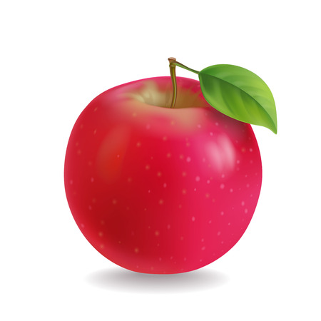 Red apple with leaf Realistic illustrationの写真素材