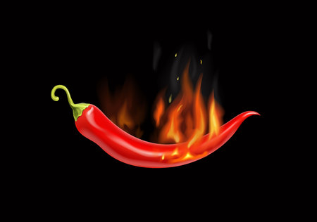 Red hot chili pepper in fire, emblem spicy food. Vector illustrationのイラスト素材