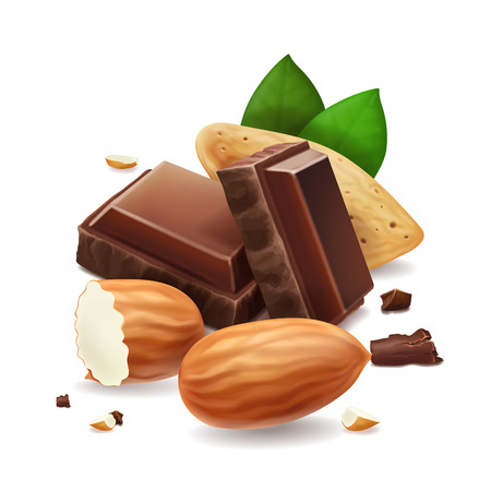 Chocolate pieces with almonds nuts. Vector illustration.のイラスト素材