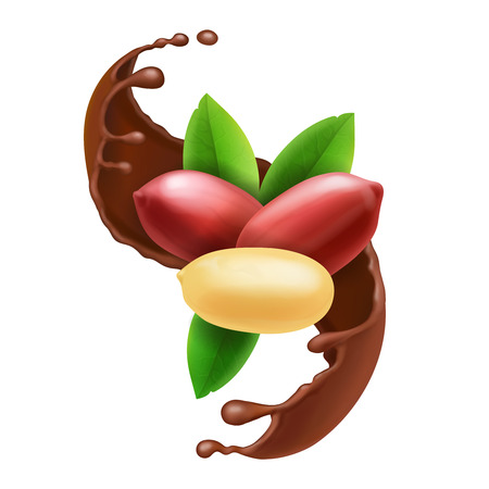 Peanut nuts in chocolate splash.のイラスト素材