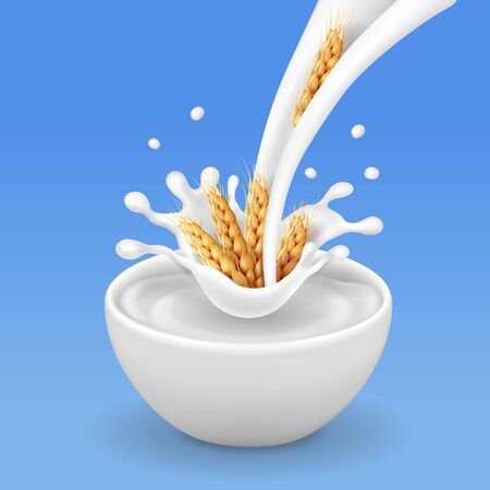 Cereals and yogurt, wheat ears splashing milk realisticの写真素材