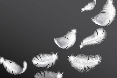 Flying white feathers. Falling realistic bird or angel wings feather flow vector background.のイラスト素材