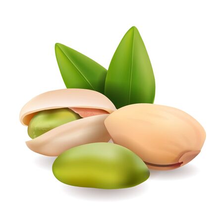 Pistachio nuts with leaves. illustration realistic pistachio kernels.の写真素材