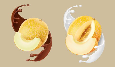 Melon and milk chocolate splash. Yellow melon slices and cream cocoa or yogurt. Realistic illustration. 3d vector iconのイラスト素材