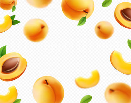 Flying apricot. Realistic 3D falling apricots blurred effect background. Vectorのイラスト素材