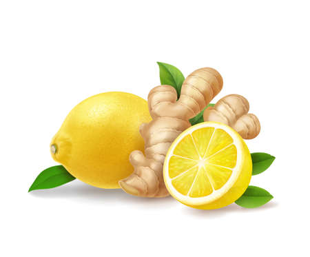 Lemon and ginger root isolated realistic illustration. Warming drink, gigner ale, tea anti - influenza, vectorのイラスト素材