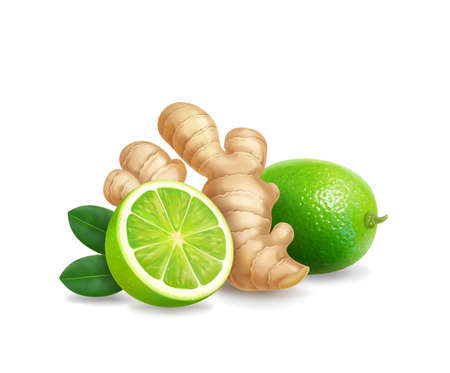 Ginger and lime. Root, green leaf and citrus fruit realistic. Tea or lemonade ingredient, alternative medicine, flu treatmentのイラスト素材