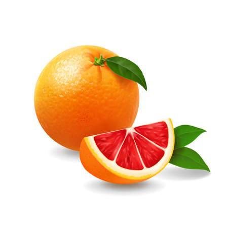 Whole grapefruit with slice and leaves. Citrus fruit Realistic vector illustrationのイラスト素材
