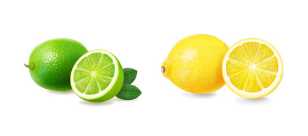 Lemon and limerealistic fruit, 3d vector iconのイラスト素材