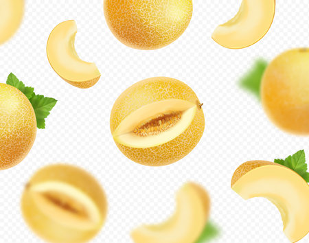 Falling yellow melons fruits. Blurred slices.のイラスト素材