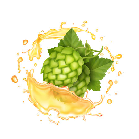 Beer yellow splash with green hop cone realistic . 3d hops ale splashing drink vector illustrationのイラスト素材