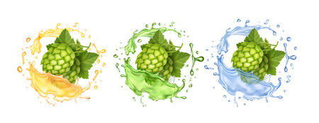 Fresh hop plants cones and green leaves in splash. Craft beer , water or hops alcohol drink. Realistic 3d vectorのイラスト素材