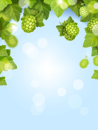 Beer hops on blue sky background. Realistic hop plant, border of branch with leaves Vectorのイラスト素材