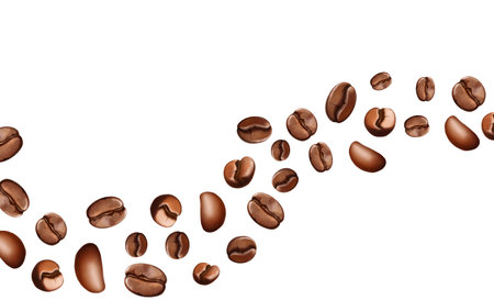Roasted Arabica and Robusta Coffee Beans wave. Realistic 3d Flying Coffee Grains isolated on white backgroundのイラスト素材