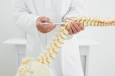 Extreme close-up of a male doctor with skeleton modelの写真素材