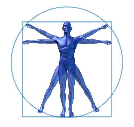 human diagram vitruvian classic man