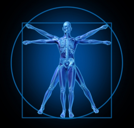 vitruvian-human-diagram-medical vitruvian-human-diagram-medical