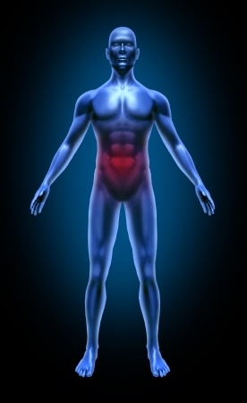 Human body intestinal gastro colon cancer ulcer food poisoning medical x-ray pose joints muscles blue Human body intestinal gastro colon cancer ulcer food poisoning medical x-ray pose joints muscles blue