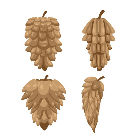 Pine Cones Collection Isolate Set Vectorのイラスト素材
