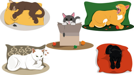 set of funny catsのイラスト素材