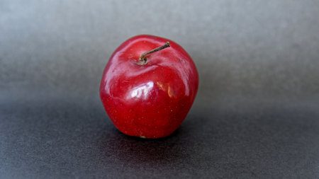 red apple on a gray backgroundの写真素材
