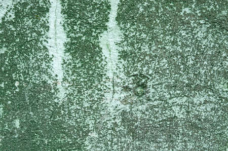 the frozen berry is covered with a layer of frostの写真素材