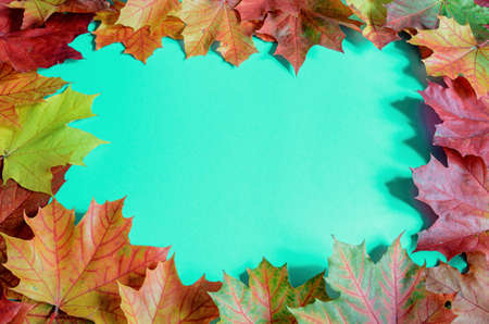 frame of autumn leaves with a blue background