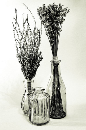 bouquet of dried herbs and flowers in glass vasesの写真素材