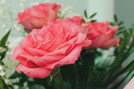 bouquet of pink roses close-up