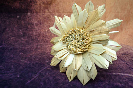 straw sunflower close-up purple backgroundの写真素材