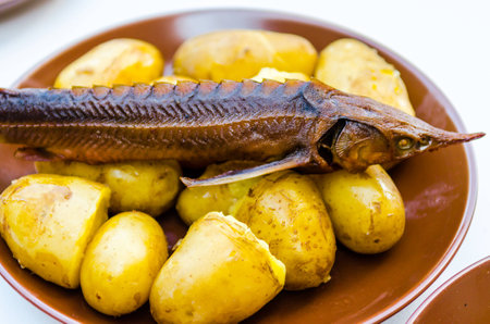 Smoked sturgeon with boiled potatoesの写真素材