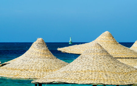 Sun umbrellas on sea backgroundの写真素材