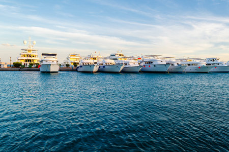 Marina boats and yachts in the eveningの写真素材