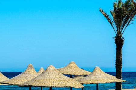 Sun umbrellas on sea backgroundの写真素材