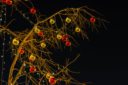 Glass balls on a tree branch. Night lightingの写真素材
