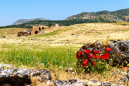 The ancient Greek and Roman city of Hierapolis (Taurus mountains, Pamukkale in Turkey).の写真素材