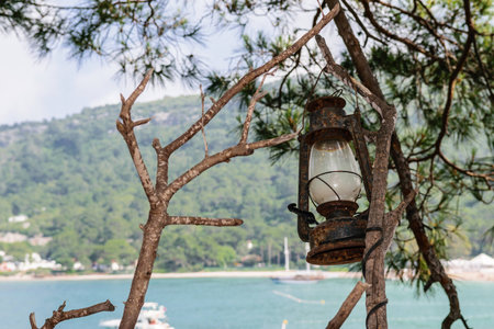 Old kerosene lamp weighs on the treeの写真素材