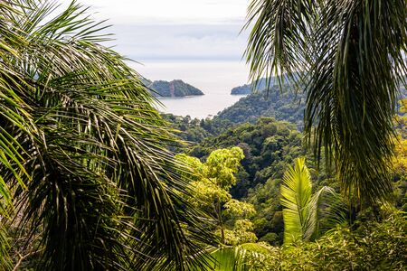 Tropical Pacific coast. Costa Rica. Central Americaの写真素材