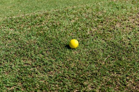Yellow golf ball lies on a golf courseの写真素材