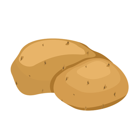 Potatoes illustration isolated on white background.のイラスト素材