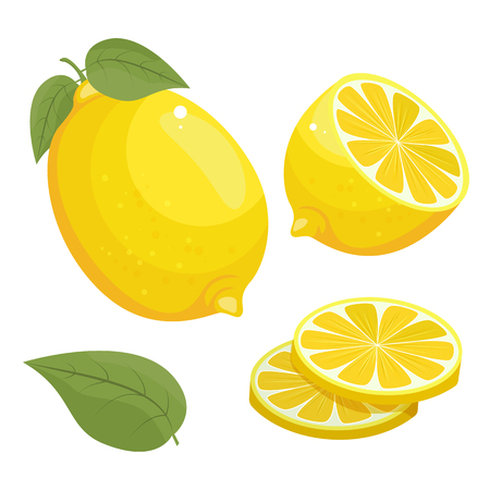 The set of elements lemon vector illustration icon isolated on white background. Lemon yellow clip art.のイラスト素材