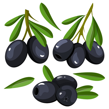 Set of backgrounds with black olives. Vector illustration. Isolated white background.のイラスト素材