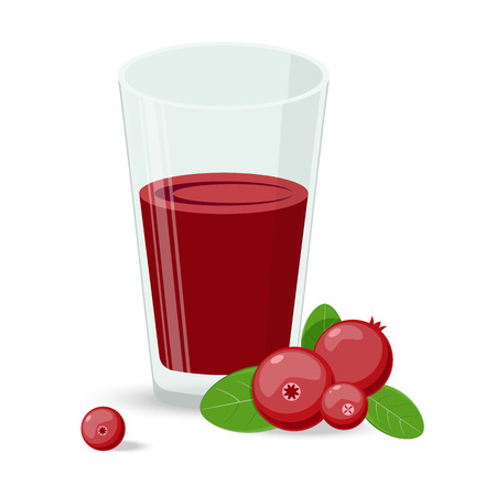 Cowberry, lingonberry in flat vector style. Sweet red forest berry. Berry juice. Cranberry.のイラスト素材