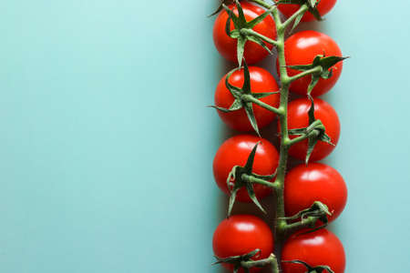 A branch of red tomatoes on a light green background with selective focus and free space leftの写真素材