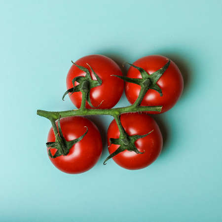 branch of red tomatoes on a green background from aboveの写真素材