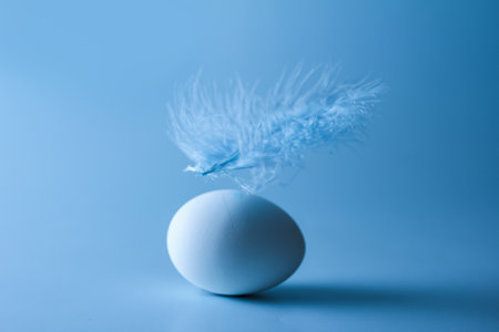 Blue feather hovering over the egg, focus on the feather, macroの写真素材